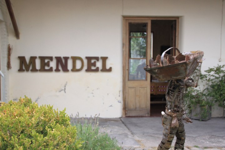 Mendel Vineyard